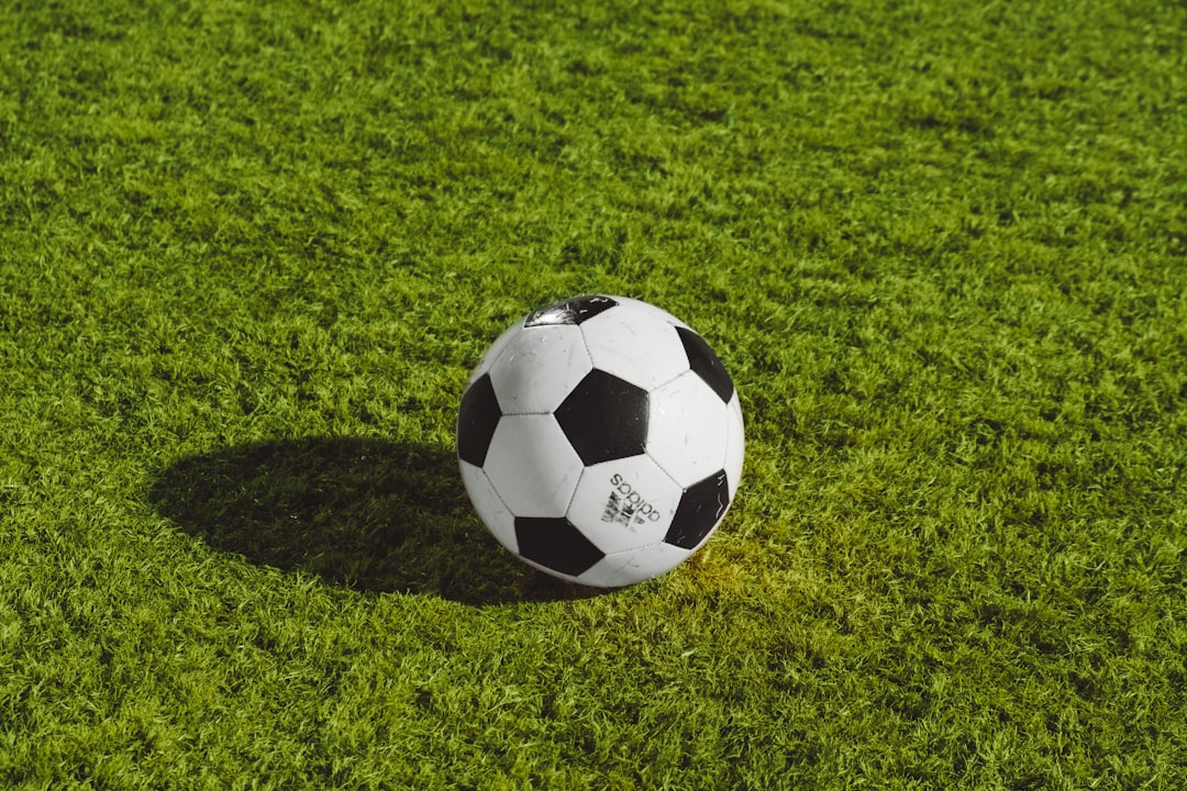 A variety of soccer balls of different sizes arranged on a field, showcasing the differences in size for various age groups.