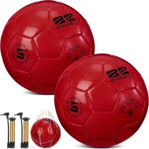 Shappy 2 Pcs Soccer Balls Bulk with...