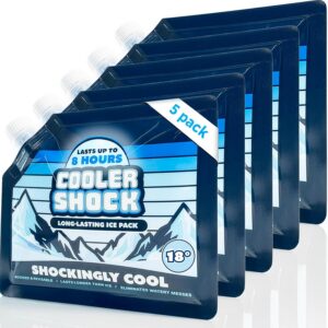 Cooler Shock Reusable Ice Packs for...