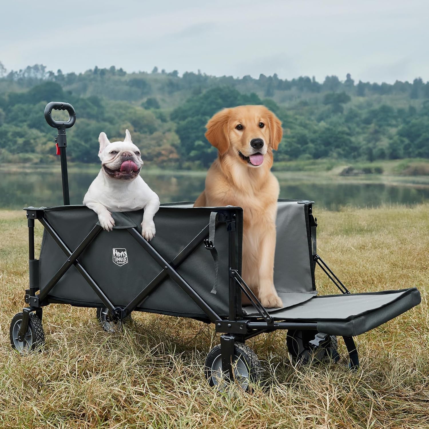 TIMBER RIDGE 49" Extra Long Collapsible Folding Wagon with Tailgate&Brakes | 250L Capacity All-Terrain Wagon Carts Foldable, 300lbs Portable Cart for Dog, Garden, Outdoor Camping Sports, Grey - Image 2