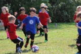 How Coaches Can Plan an Organized Youth Soccer Practice